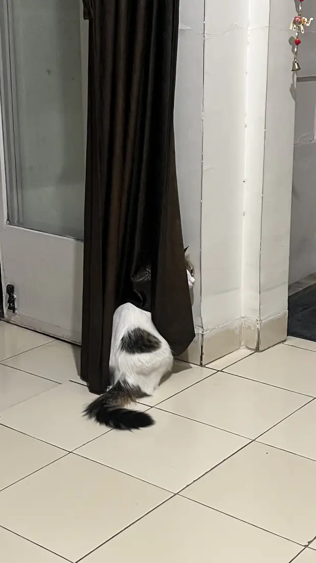 Kabira hiding