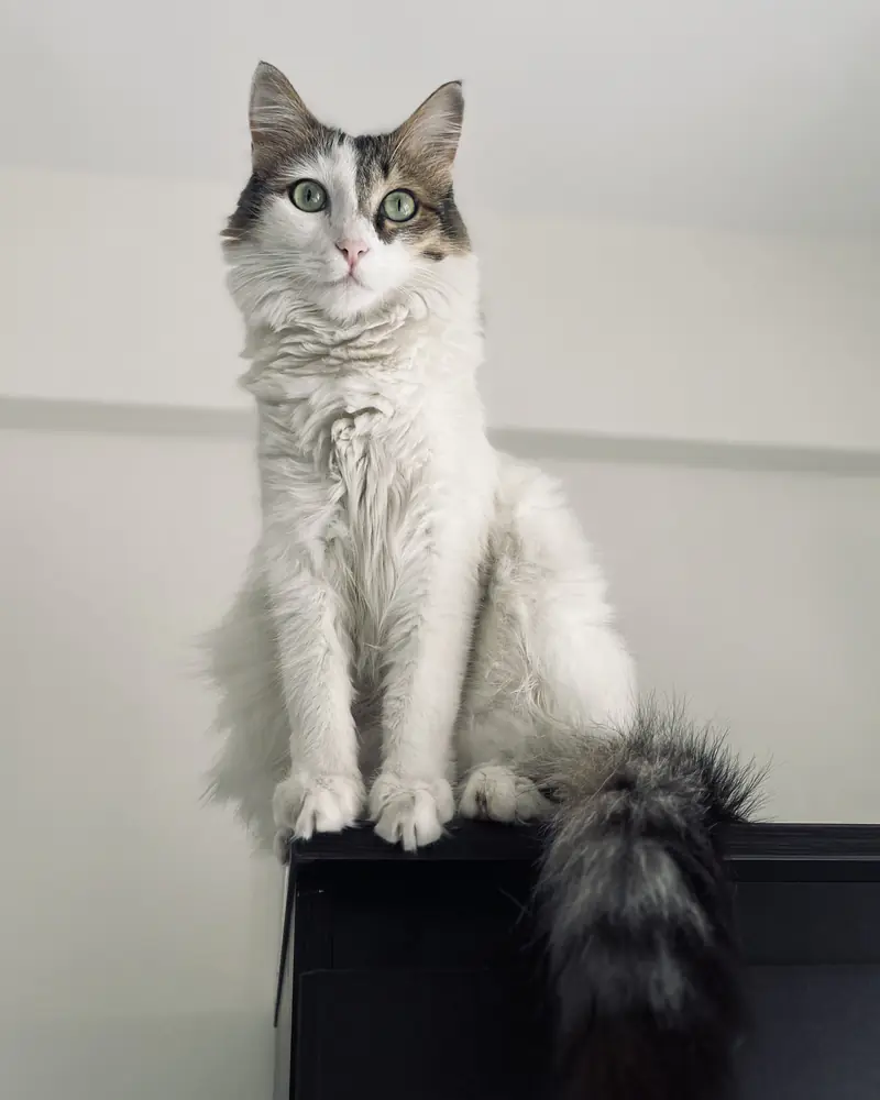 Kabira looking regal again