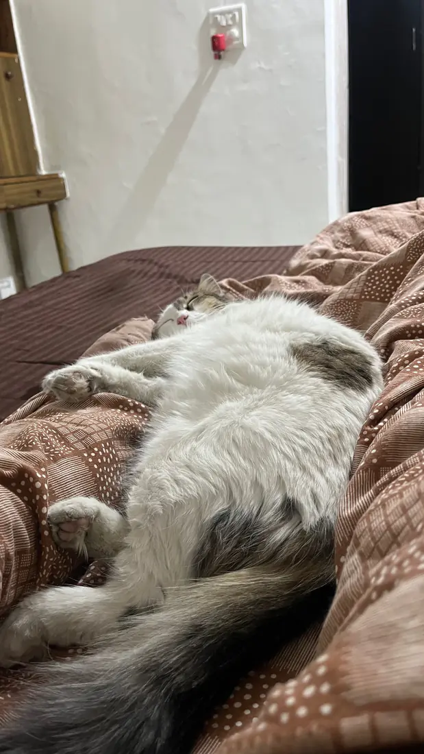Kabira snuggling