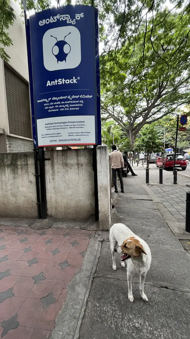 Bailey outside the AntStack office