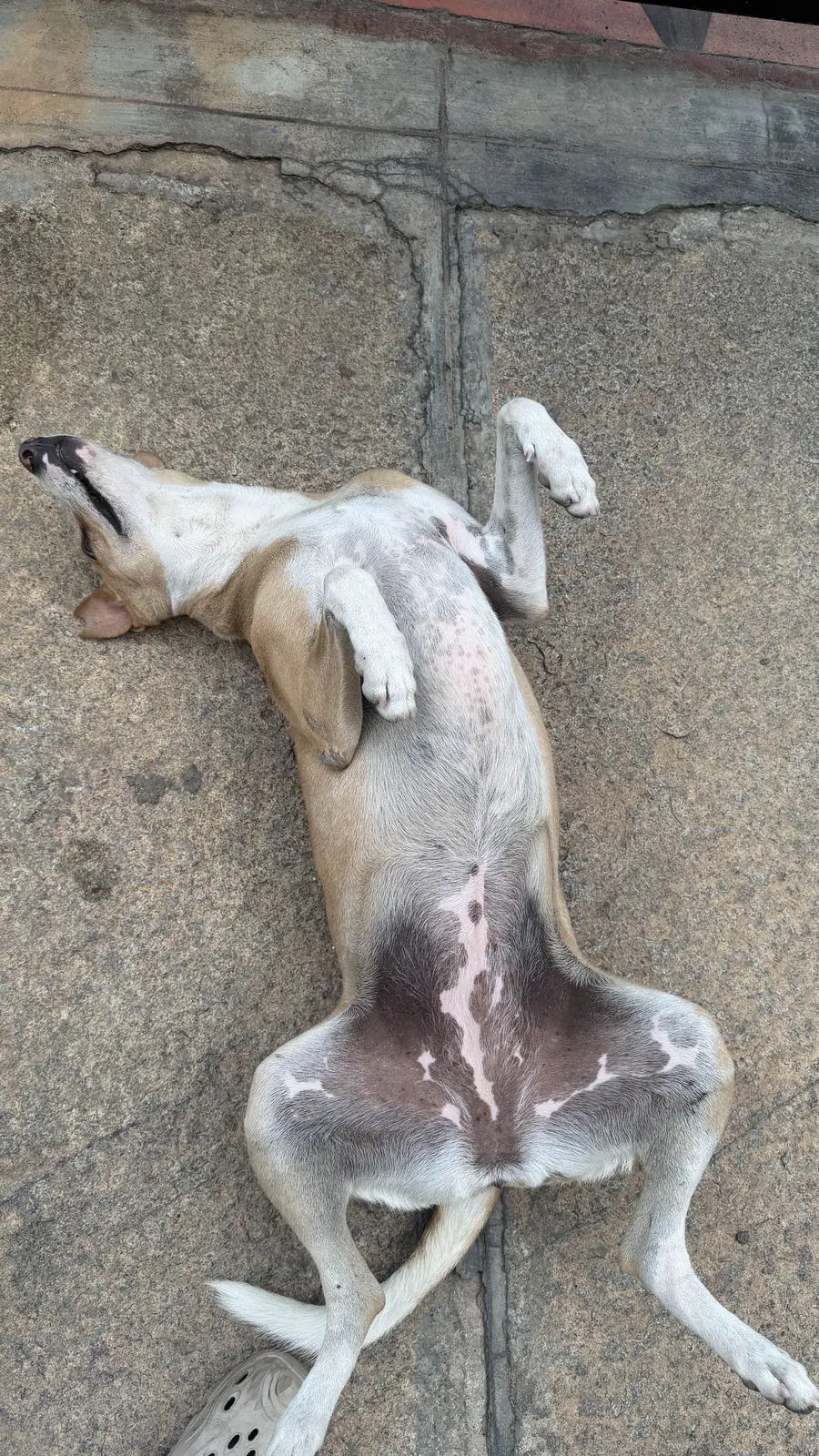 Coffee lying on her back
