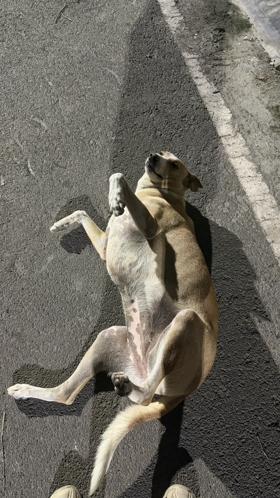 Coffee rolled onto her back on the road