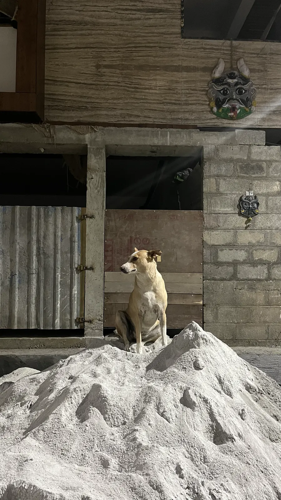Coffee sitting on top of a sand pile