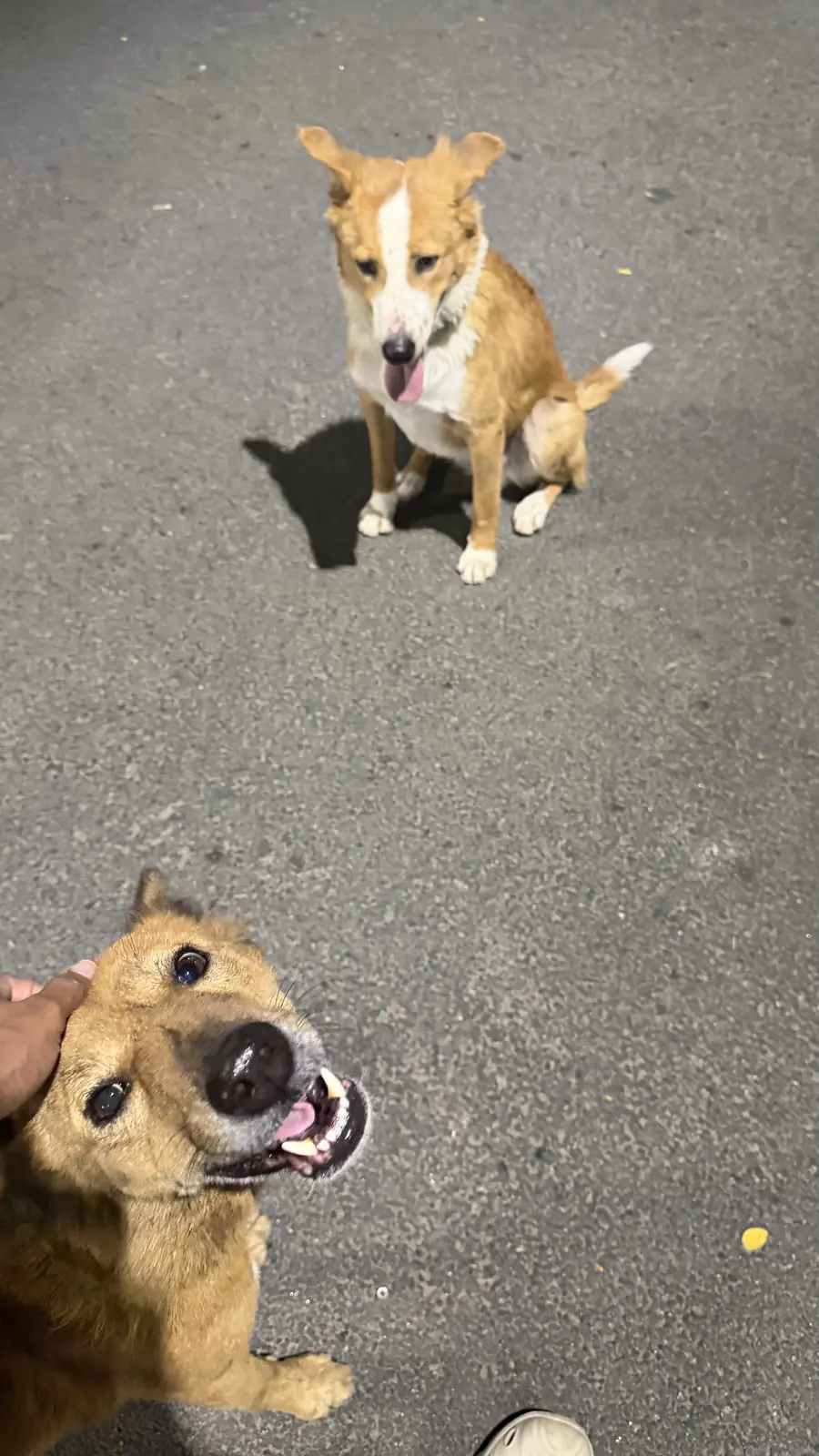 Simba meeting Mufasa