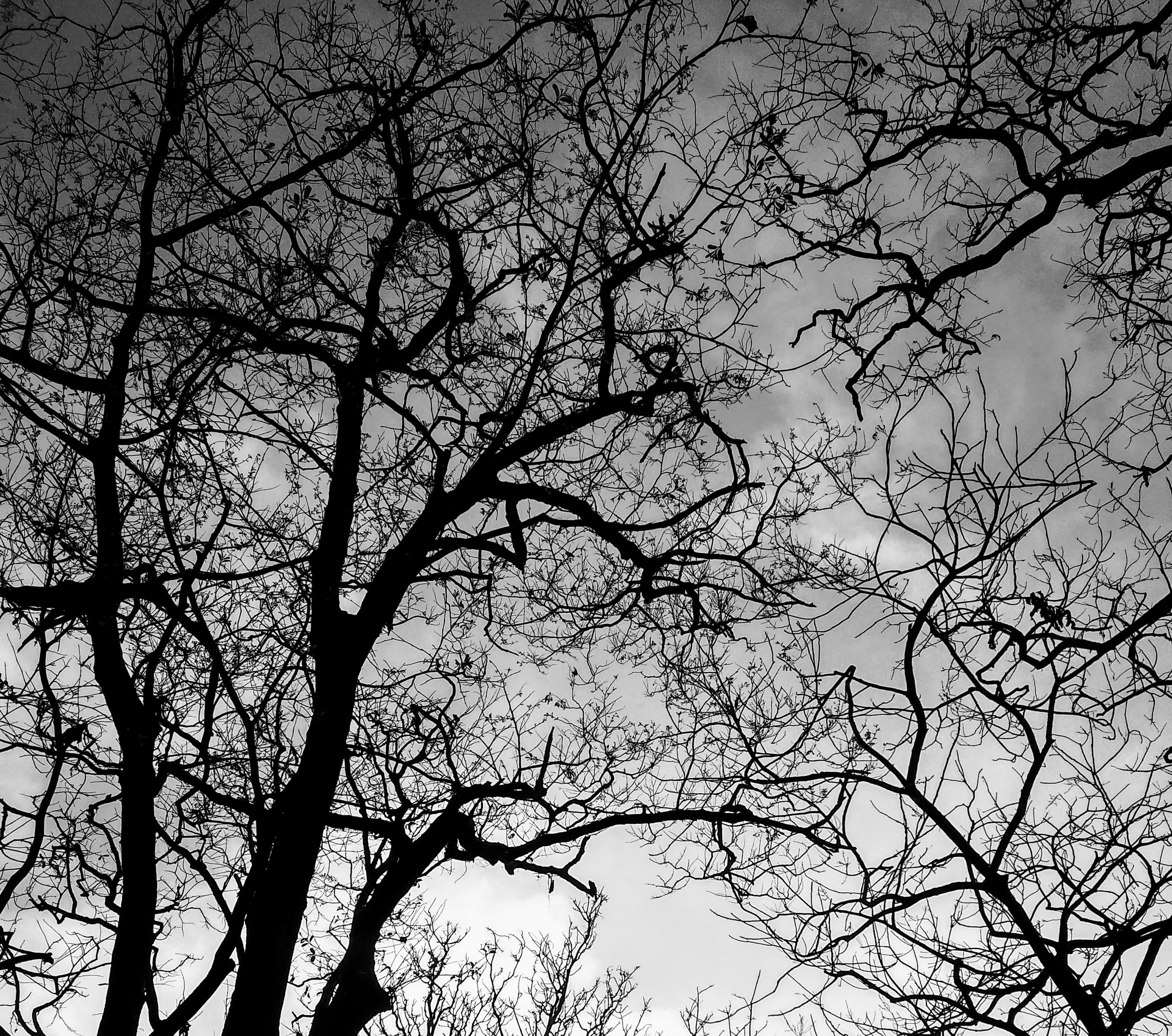 Scraping the web with javascript